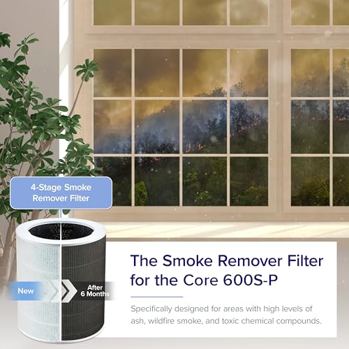 core-600s-smoke-remover-replacement-filter-3085753.jpg